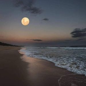 Meet your Posher, Silvia